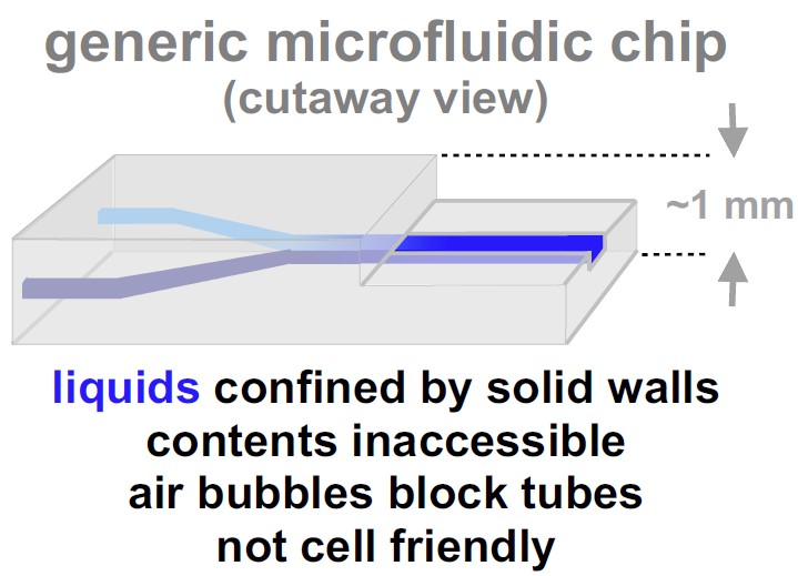 A generic microfluidic chip