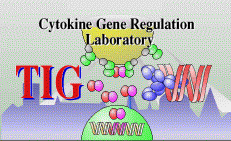Cytokine Logo